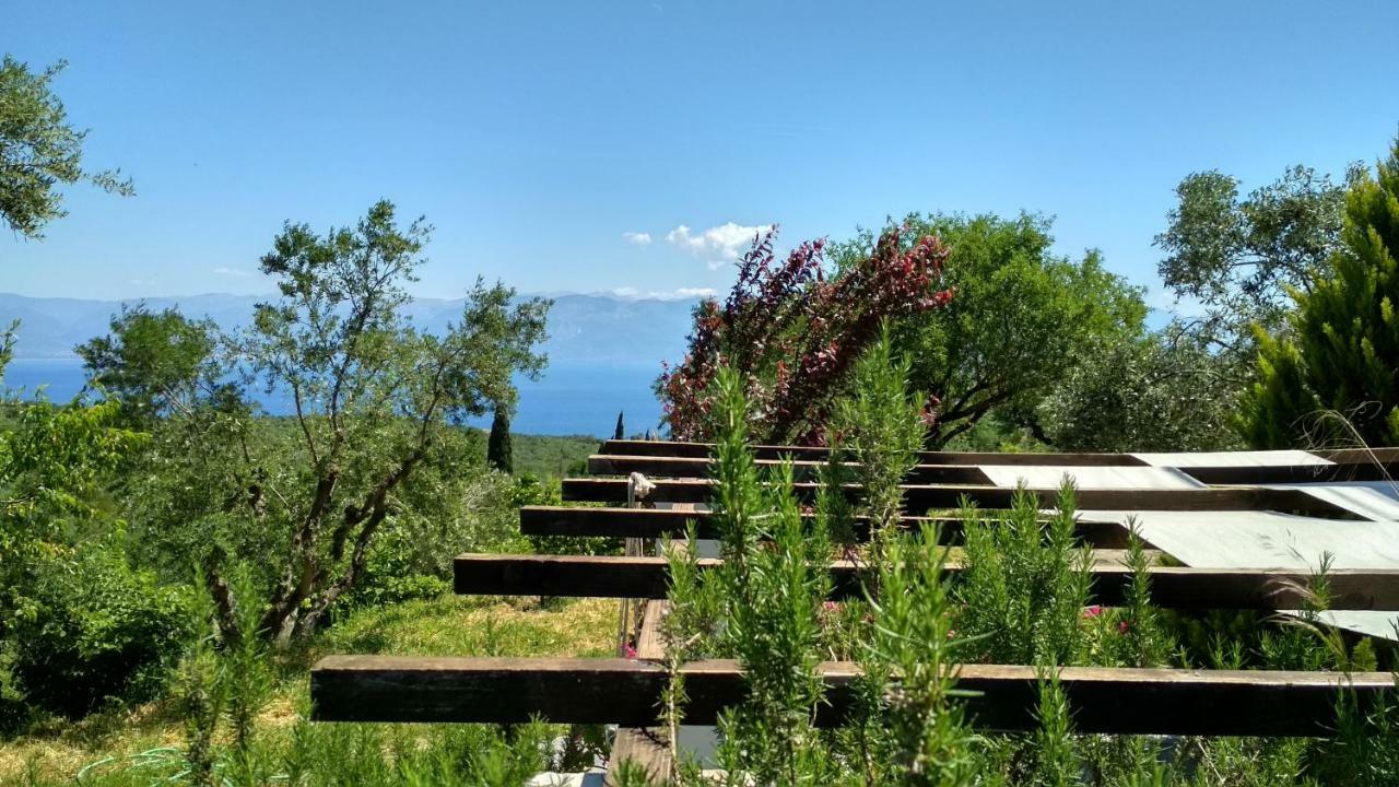 Aiolos Kalamaki  Exteriör bild
