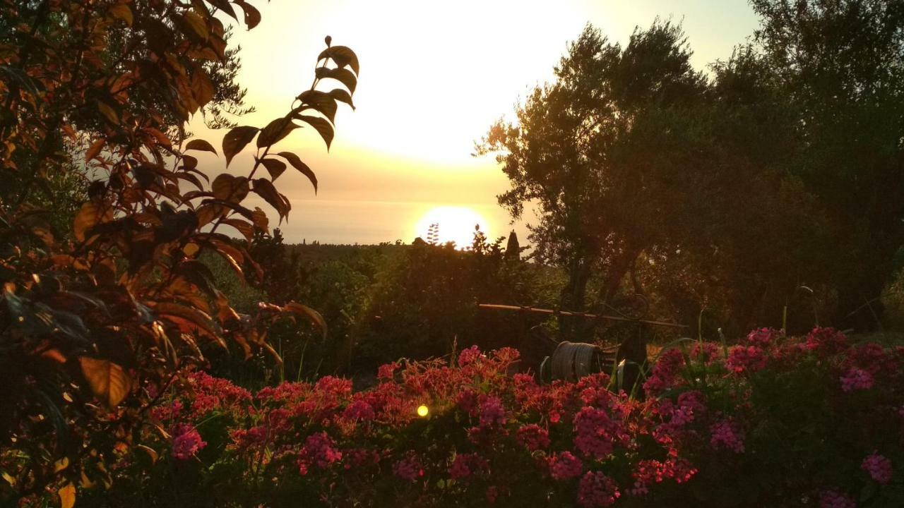 Aiolos Kalamaki  Exteriör bild